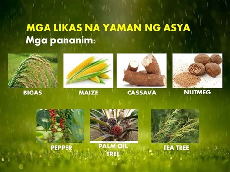 Ano anong likas na yaman ng cavite .